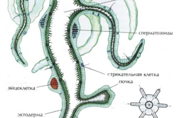 Ссылки на сайты даркнета