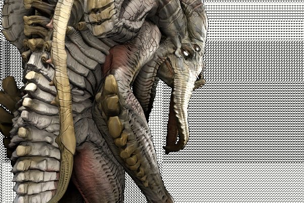 Kraken 14 at