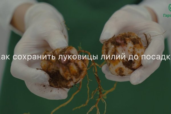 Кракен не работает