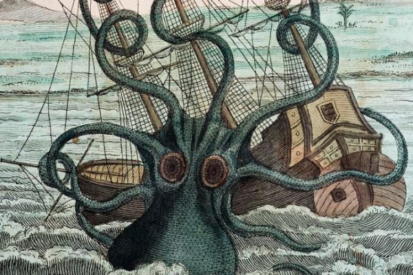 Kraken как найти ссылку