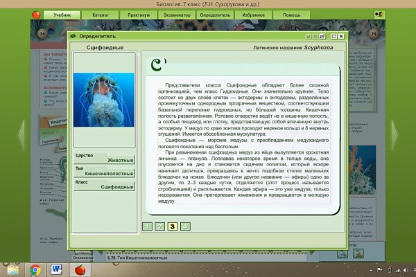 Кракен это что за сайт