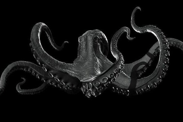 Kraken рабочее зеркало onion