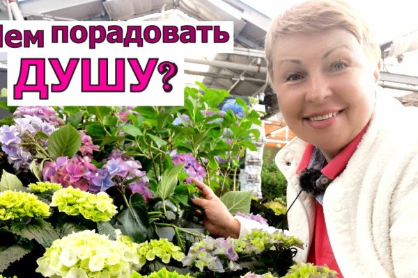 Вместо гидры