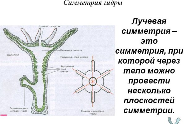 Кракен через браузер
