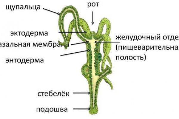 Кракен сайт как выглядит