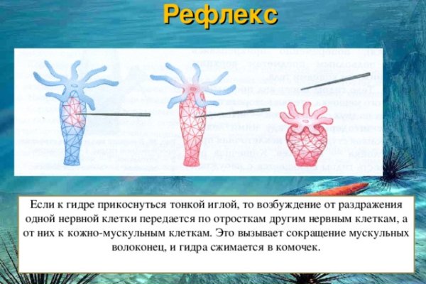 Восстановить доступ к кракену