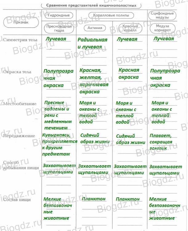 Что продают на кракене